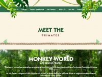 monkeyworld.org Thumbnail
