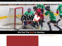 Ontarioballhockeyfederation.ca