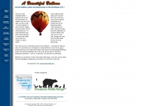 Balloon-rides.com