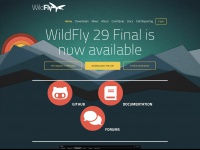 wildfly.org Thumbnail