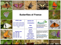 Butterfliesoffrance.com