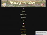 fleetingwonders.com Thumbnail