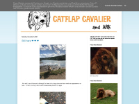 catflapcavalier.blogspot.com Thumbnail