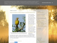 Safari-ecology.blogspot.com