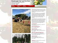 Brumbaughfruitfarm.com