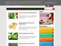 Benefitsplants.blogspot.com