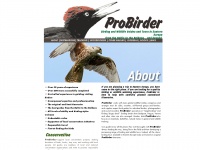 probirder.com