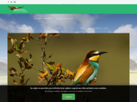 birding-in-portugal.com Thumbnail