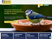 Songbird-survival.org.uk