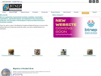 Btnep.org