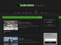 10000birds.com Thumbnail