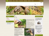 landschildpadden.com