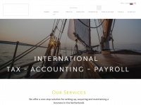 tax-consultants-international.com Thumbnail