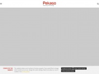 Pekago.com