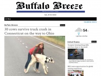 buffalobreeze.com Thumbnail