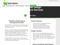 mintmediaagency.com