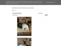 Pandaboredcat.blogspot.com