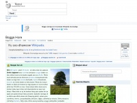 So.wikipedia.org
