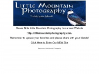 little-mountain.com Thumbnail