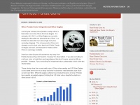 Rare-panda-coins.blogspot.com