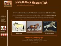 idahooutbackminitack.com Thumbnail