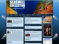 seashell-collector.com Thumbnail