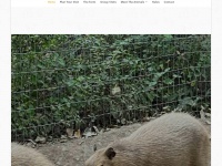 kangaroocreekfarm.com