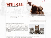 winterose.ru Thumbnail
