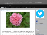 perfect-pelargoniums.com Thumbnail