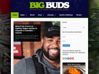 bigbudsmag.com Thumbnail