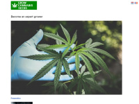 Growcannabisseeds.com