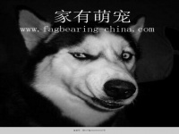 Fagbearing-china.com