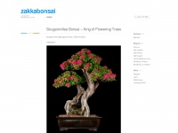 Zakkabonsai.wordpress.com