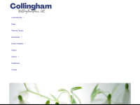 collingham-notts.org.uk Thumbnail