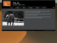 Aslal-arabians.com