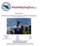 whalewatchingtours.com