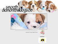 smoothdiamontbulldogs.be