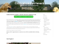 chiricahuaretrievers.com Thumbnail
