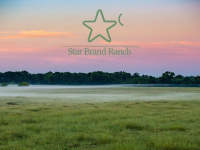 Starbrandranch.com