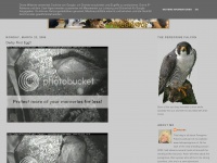Falcoperegrinus-froona.blogspot.com