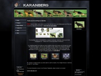 karanberg.com Thumbnail