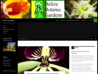 Belizetravelblog.com