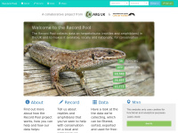 Recordpool.org.uk