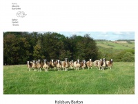 halsburybarton.co.uk Thumbnail