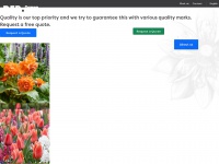 Damen-flowerbulbs.com