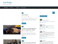 theitbaby.com Thumbnail