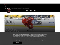 sbncollegehockey.com Thumbnail