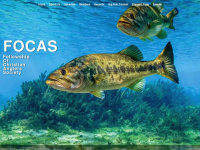 focas-cadiz.org