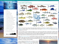 Texasgulfcoastfishing.com