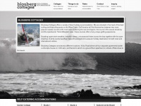 surf-blouberg.com Thumbnail